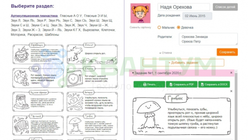 Умное зеркало логопеда «Антошка НАНО»